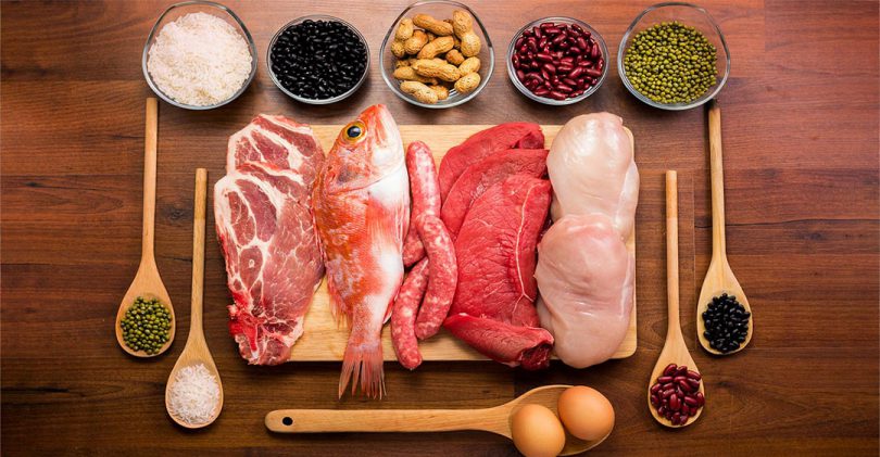 what is a protein diet? what is a protein diet?